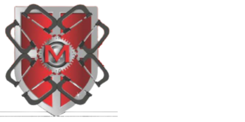 Website Logo